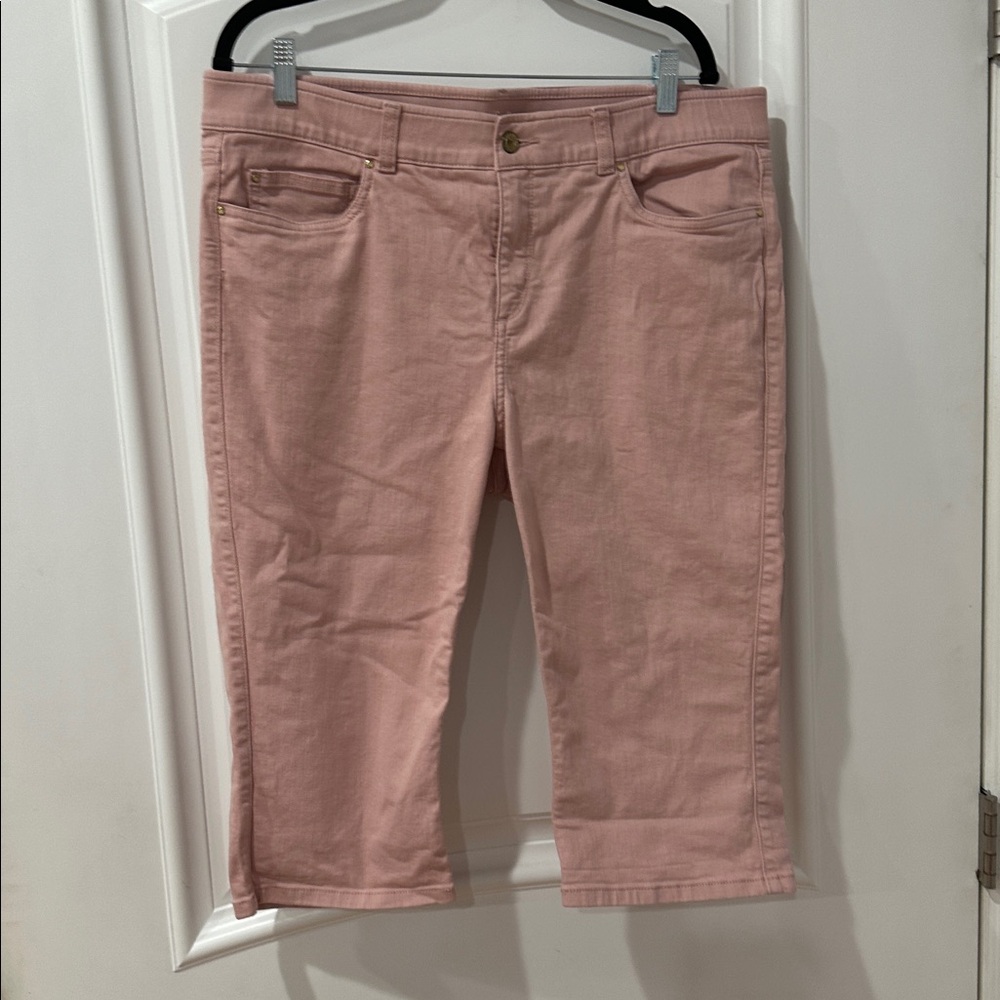 Rafaella Blush Pink Pants size 16